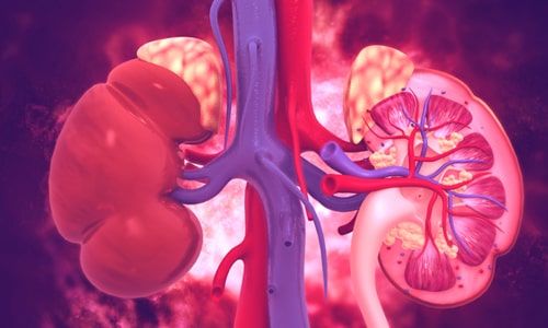 Adrenal (Böbrek Üstü Bezi) Ameliyatı Sonrası Dikkat Edilmesi Gereken Konular